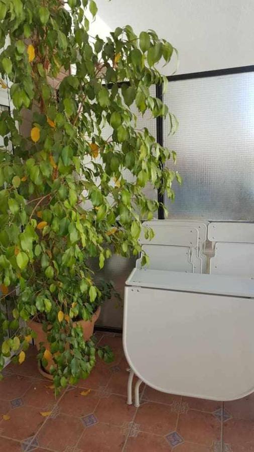 세비야 Luxe Castelar 19 아파트 외부 사진